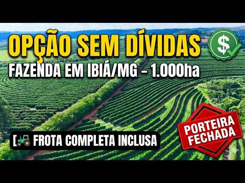 Fazenda de Café à Venda em Ibiá, MG: 1.000 Hectares, Café Geisha e Porteira Fechada