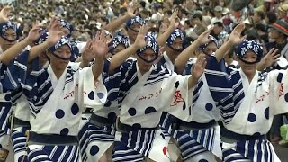 Awa Odori-Festival in Japan mit nächtlichen So-Odori-Aufführungen