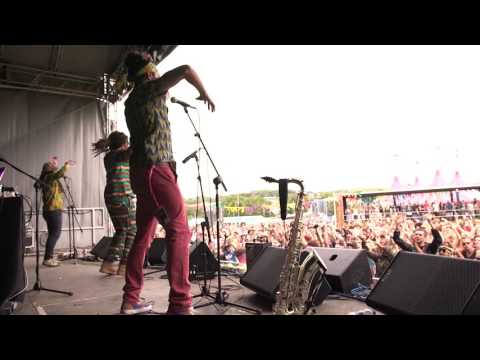 True Vibenation live at Glastonbury Festival