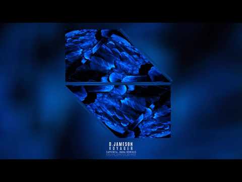 D Jameson - Voyager (Original Mix)