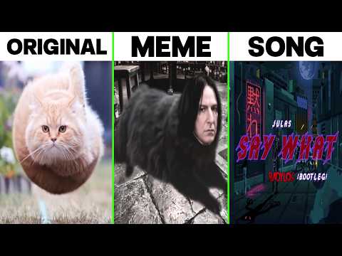 Spinning Cat Original vs Meme vs Original Song - Spinning Flying Cat Meme