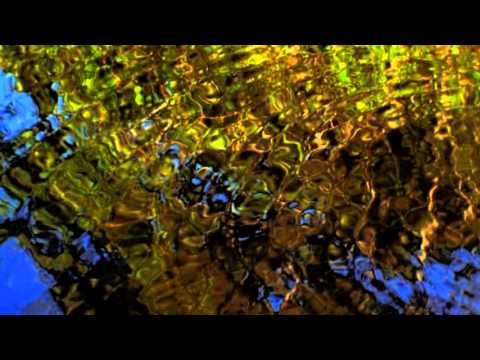 Wisdom Moment - Jyoti - "Walking the Red Road"