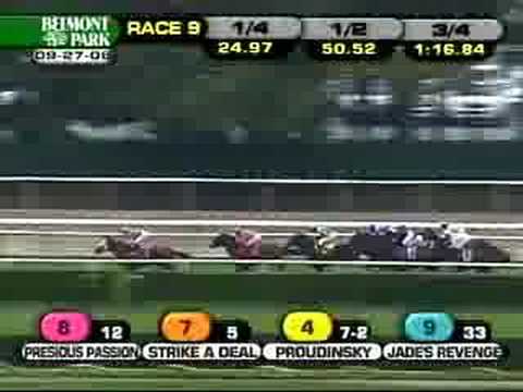 2008 Joe Hirsch Turf Classic (GI)