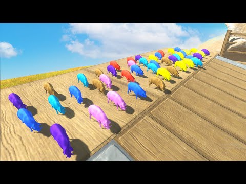 Colorful Pig Speed Race Fight Lava Team - Animal Revolt Battle Simulator