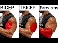 Complete Arm Workout For Bigger Biceps Triceps Forearms Build Massive Arms At Home Or Gym