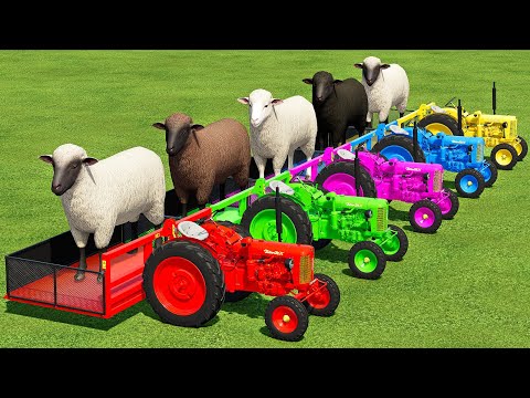 LOAD & TRANSPORT SHEEPS WITH MERCEDES & ZETOR MINI TRACTORS - Farming Simulator 22