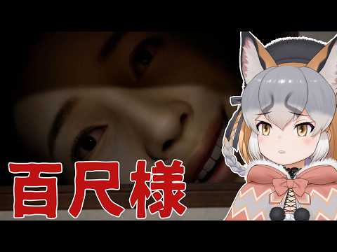 【百尺様】でかすぎんだろ…【シマハイイロギツネ/ #シマハイシン 】
