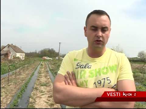 VOĆARSTVO KAO PORODIČNI BIZNIS