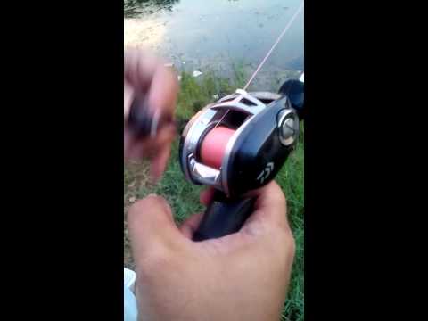 Daiwa alphas sv and expert graphite aristo