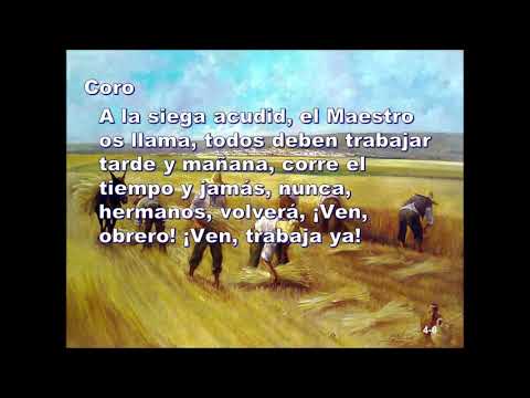 Himno 501 Somos obreros del Señor