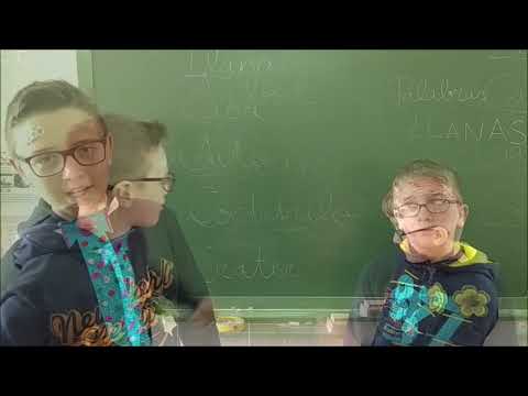 Palabras Agudas LLanas y Esdrújulas 2