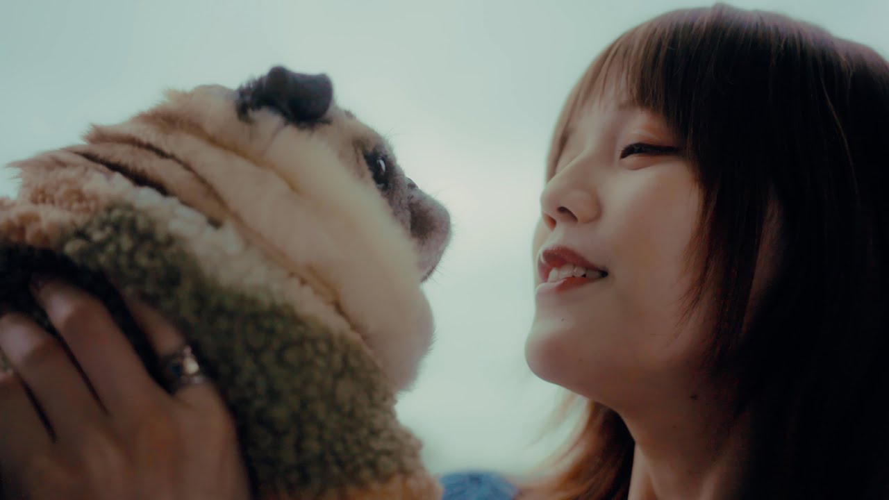 YOAKE「ねぇ」Official Music Video