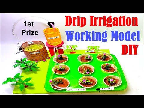 Eco Friendly DIY Project Waste Water Treatment Filter Working Model HowToFunda