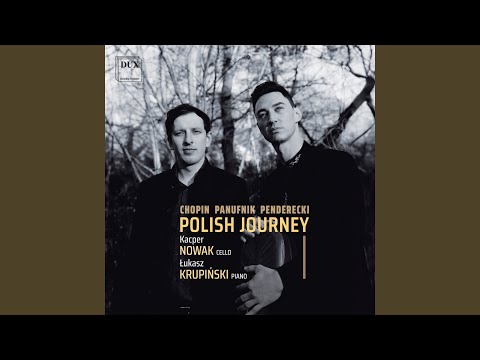 Cello Sonata in G Minor, Op. 65, B. 160: II. Scherzo