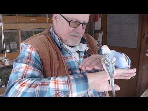 2019 01 24 Zwei die sich mögen