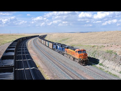 Heavyweight Powder River Coal Trains at Logan Hill - BNSF Orin Subdivision 8/13/2024