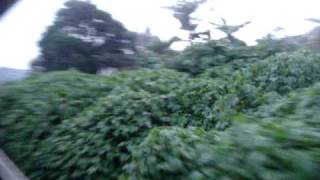 preview picture of video 'Yaounde to Ngaoundere, Cameroon Train Ride'