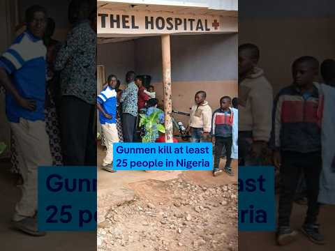 Gunmen kill at least 25 people in Nigeria | DW News