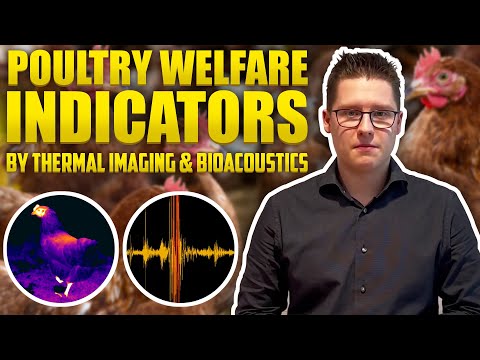 Poultry Welfare Indicators by Thermal Imaging & Bioacoustics