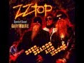 2002 ZZ TOP & GARY MOORE LIVE