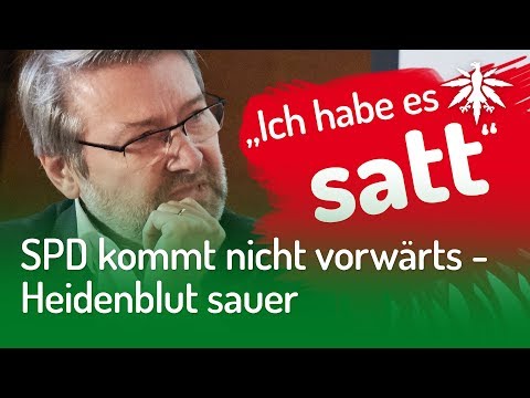 SPD kommt nicht vorwärts - Heidenblut sauer | DHV-News #228