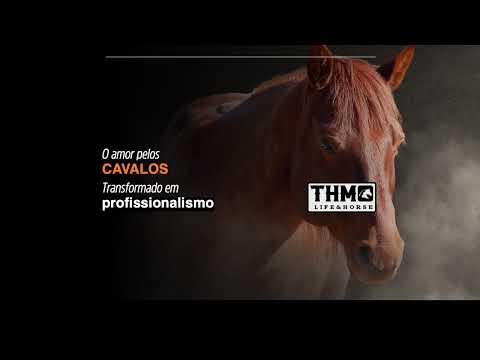 Transmissão ao vivo de THM Life & Horse