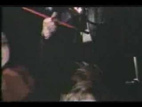 The Cucumbers - All Shook Up