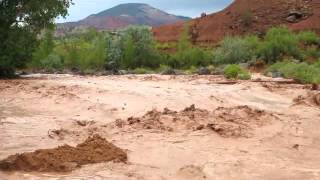 preview picture of video 'Sand Creek Flash Flood, Torrey, Utah'