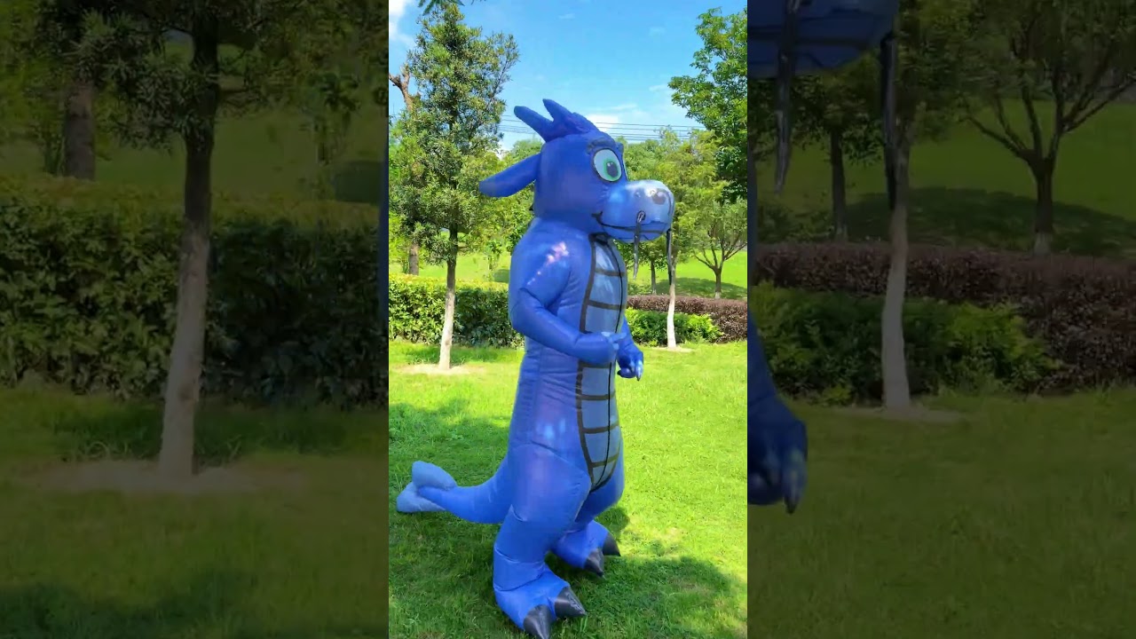 Video Placeholder