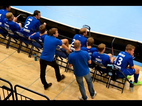 Maalikooste: Tapanilan Erä - Westend Indians 4-6 (24.8.2014)