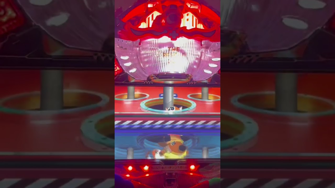 Shorts レスキュードッグ