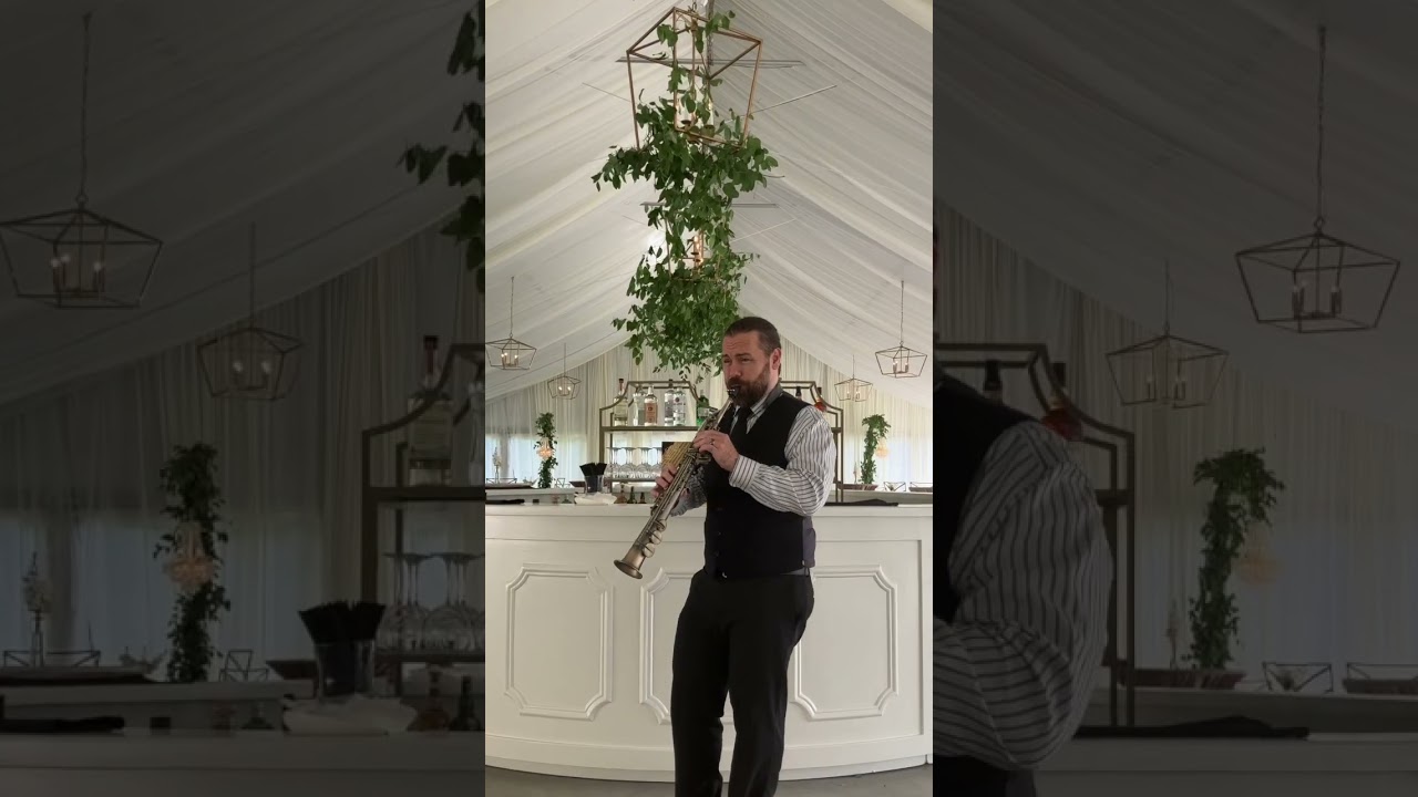 Promotional video thumbnail 2 for Bryan Meggison Solo Saxophonist