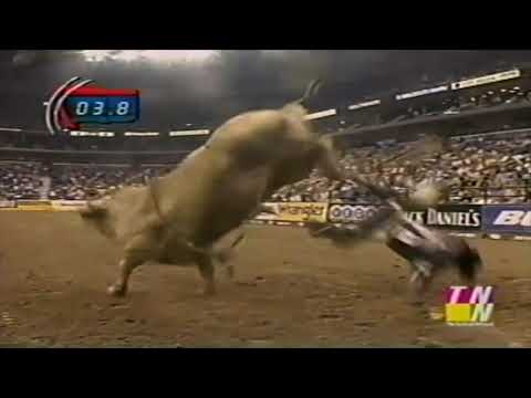 Clayton's Pet bucks Yancey James - 01 PBR New Orleans