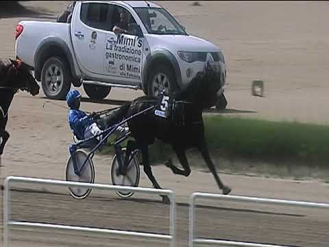 Trotto 08/06/2019 - 4ª corsa