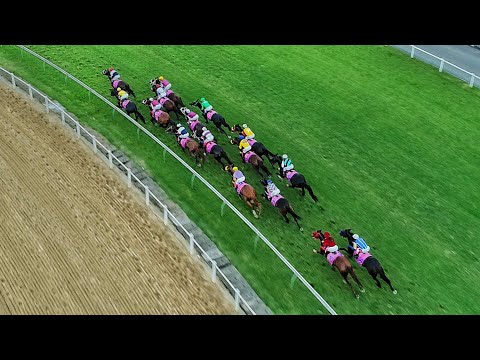 GP Diana de turfe 2018.