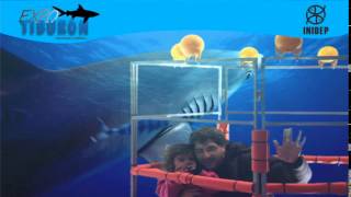 DIA 2 Expo Tiburon24