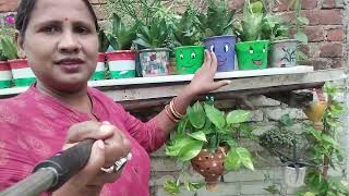 अपना गार्डन कैसे सजाएं पूरे गार्डन का ओवरव्यू#gkgarden#garden #viral #gardening #viralvideo #video