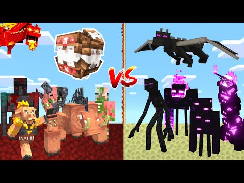 NETHER vs END in Minecraft Mob Battle