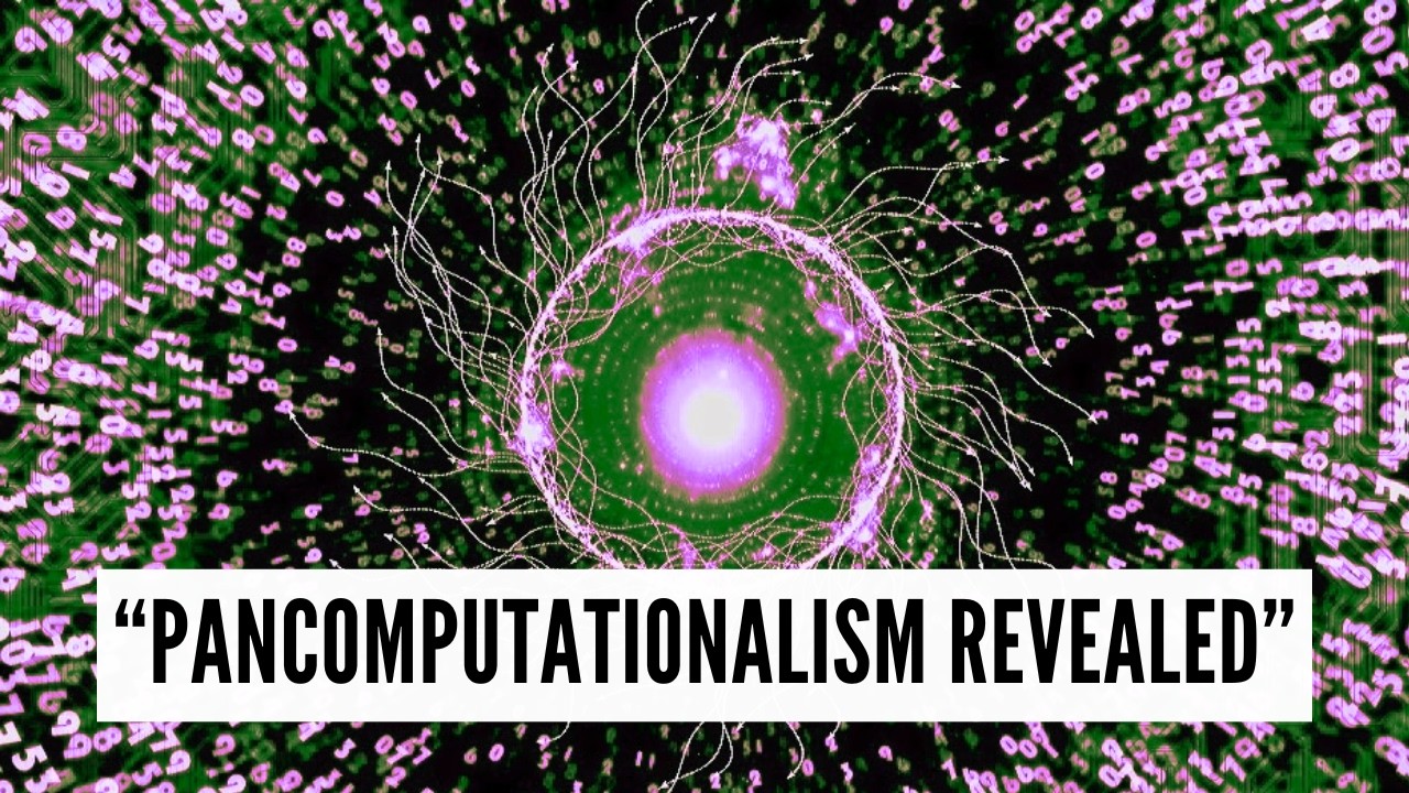 You Are Living in a Calculation - The Pancomputational Universe