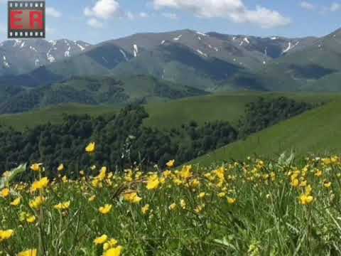 Terane Gedebeyli Al meni Qoynuna Layla de Layla