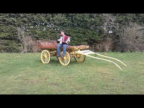 Tommy doran the street singer singing live