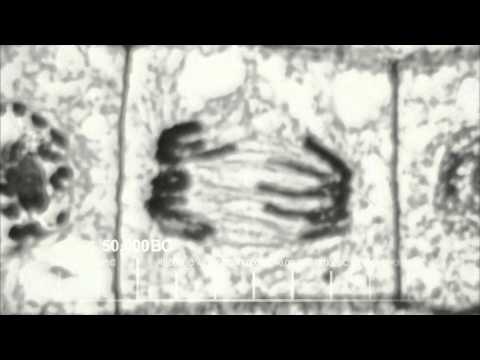 The Big Bang Theory - Intro (Deutsch) 1080p HD