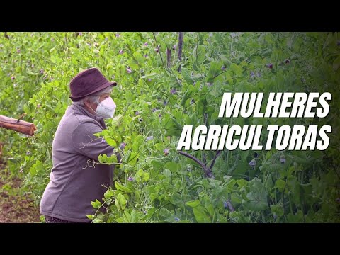 O trabalho no campo da  mulher agricultora em portugal