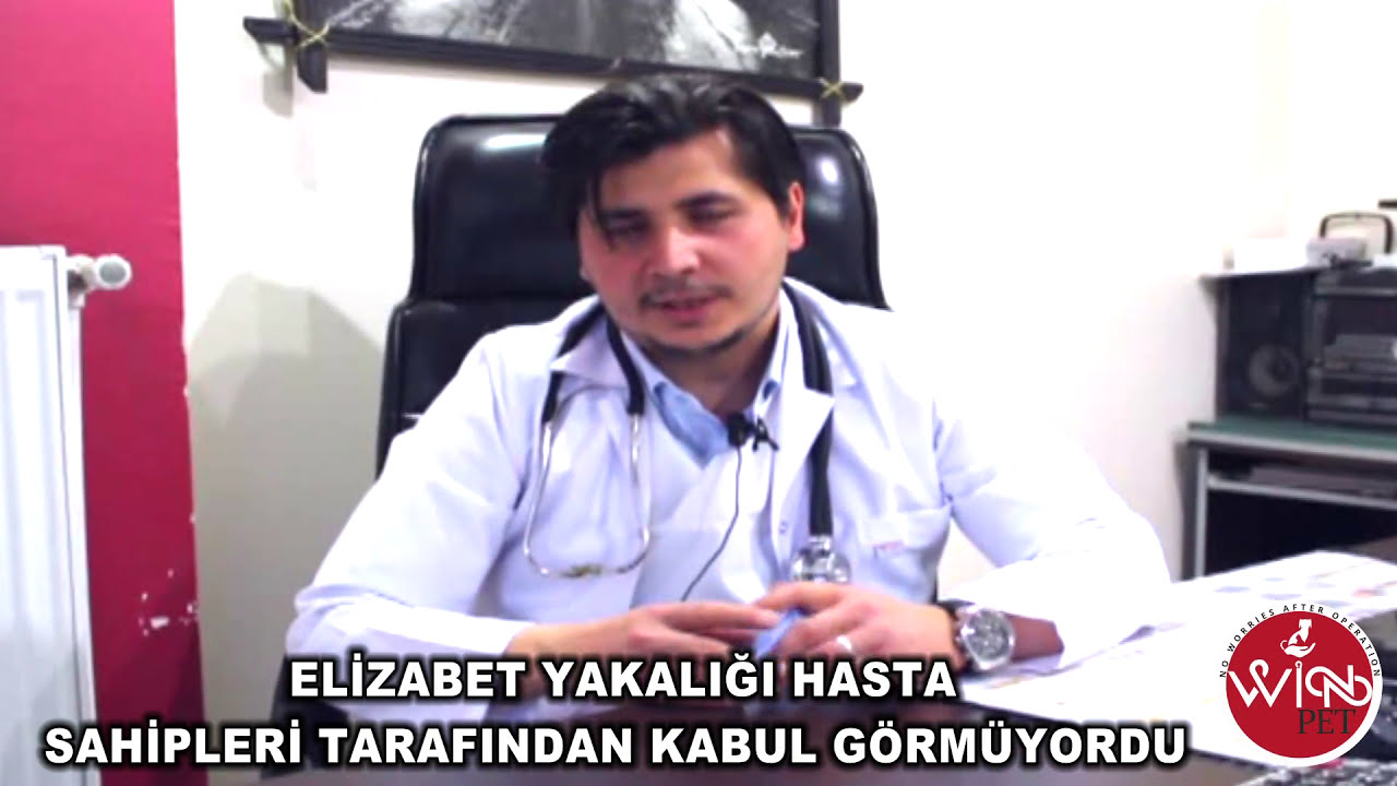 WinPet Vet.Hek. İsmail ŞENTEPE