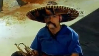 Mamonas Assassinas - Bois Don't Cry