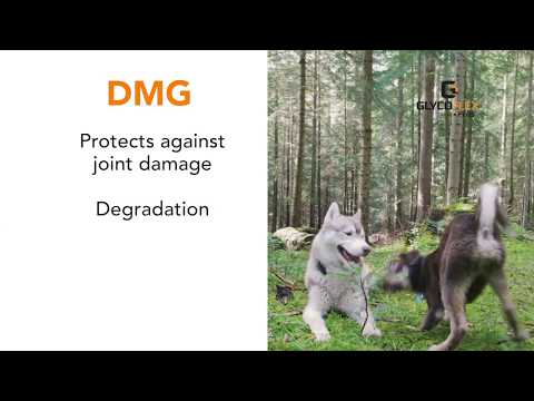 Glycoflex Plus( joint Strength Tablet)