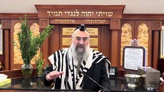 ביאור הפטרת נחמו נחמו עמי מתוק מדבש (הרב יצחק ישראלי) - התמונה מוצגת ישירות מתוך אתר האינטרנט יוטיוב. זכויות היוצרים בתמונה שייכות ליוצרה. קישור קרדיט למקור התוכן נמצא בתוך דף הסרטון