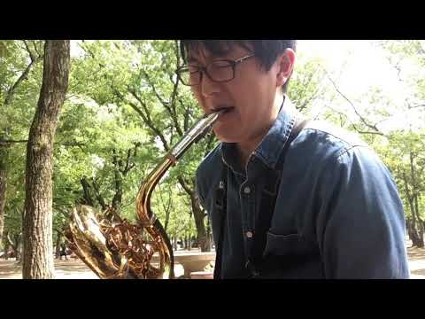 Passion Fruit (Ronnie Cuber)