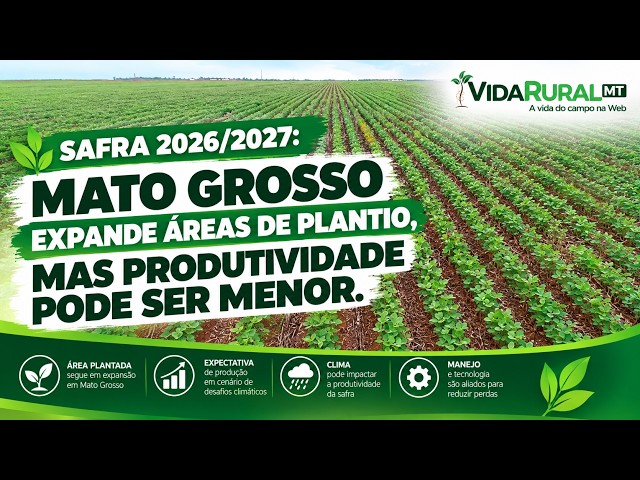 MATO GROSSO MANTÉM LIDERANÇA NA PRODUÇÃO DE GRÃOS SAFRA 2026/2027