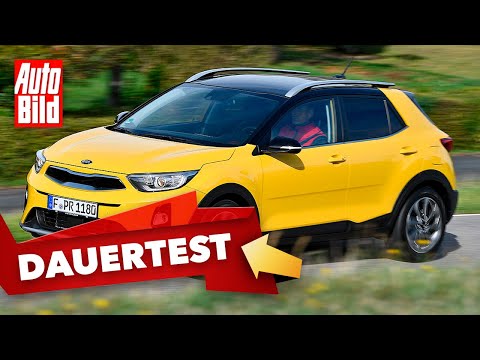 Kia Stonic (2020): Test - Dauertest - SUV - Technik - Info